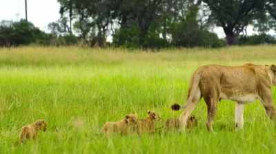 But her latest move
hasn't gone unnoticed. - Surviving Paradise: A Family Tale