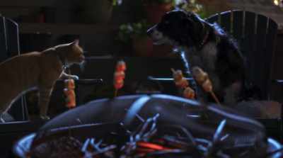 But listen, we can't
forget that a pet's - Cats & Dogs 3: Paws Unite