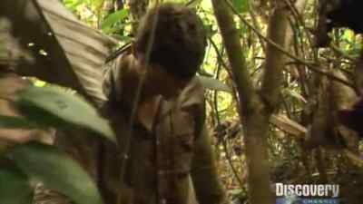 But look there. - Man vs. Wild