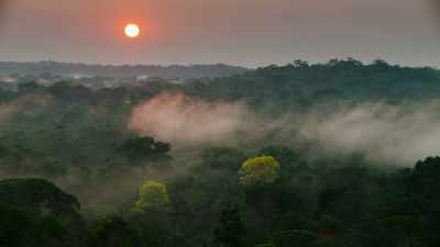 But looking forward, - The Green Planet