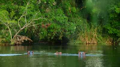 But this magical pool - Our Great National Parks