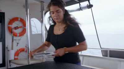 But for marine scientist
Melissa Márquez, - Shark Attack Files