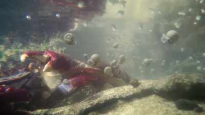 But mastering new swimming skills
is not easy. - Prehistoric Planet