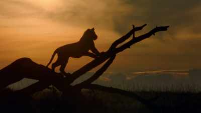 But mating, - Dynasties