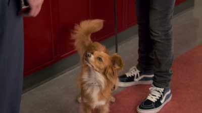 But maybe I could help you look not good. - The Healing Powers of Dude