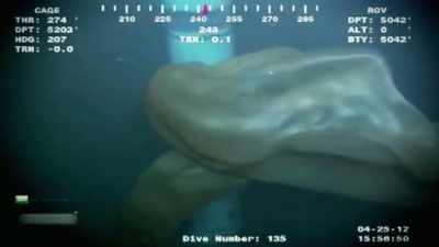 BUT MAYBE THE SUBMERSIBLE IS
ACTUALLY GENERATING THOSE WAVES. - Strange Evidence
