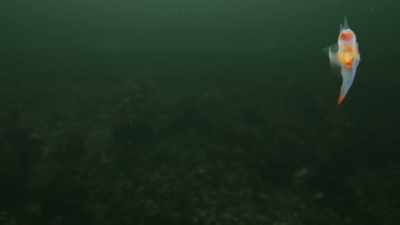 ...but each monitors
minute changes in the water - Planet Earth III
