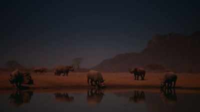But when more males arrive,
the atmosphere changes. - Our Great National Parks