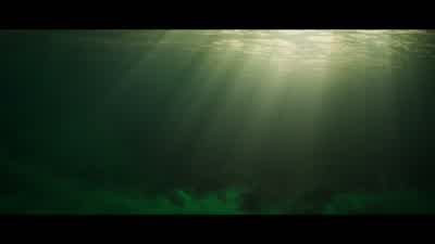 But most vanish before they can reach the surface. - Nova