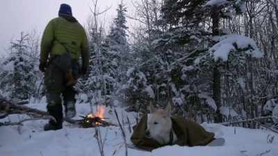 But we need to focus
on survival right now. - Life Below Zero: Next Generation