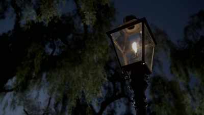 But neither hans nor cindy
could identify what it is. - The Holzer Files