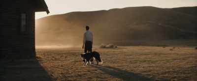 But he never handled diseased animals. - The Power of the Dog