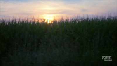  But no, there's so much more. - The Pike County Murders: A Family Massacre