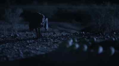 But not to attack. - Prehistoric Planet