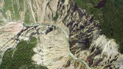 But not every nest
is so easy to leave. - Epic Yellowstone