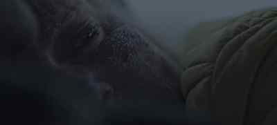 But not long after I arrived, - Cold Meat