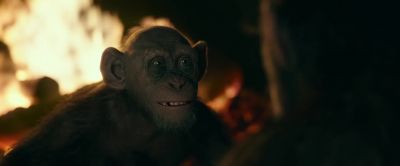 But not me - War for the Planet of the Apes
