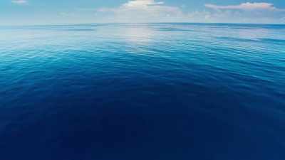 But not remote enough, it seems, - Blue Planet II