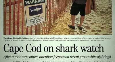 But not until
the poor boy was killed in Wellfleet - After the Bite