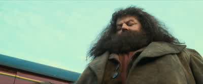 ...but not use it, would be able to get it. - Harry Potter and the Philosopher's Stone