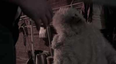 But now it appears
that the hunter - Another Yeti a Love Story: Life on the Streets