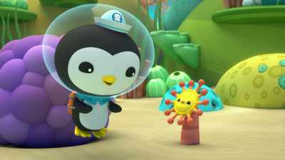 But for now, just relax
and settle into your new home. - Octonauts and the Great Barrier Reef