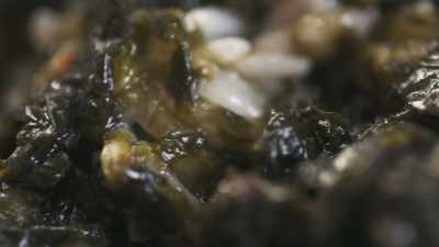 But now you know how it's made. - James May: Oh Cook!