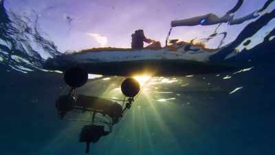 But obviously because we're adding
all this noise to the ocean - Blue Planet II