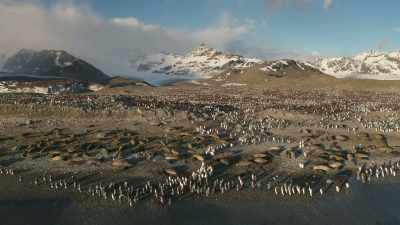 But on the edge of Antarctica, - Frozen Planet II