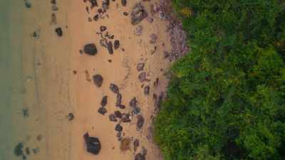 But on these islands, they do
something no other macaques do. - One Strange Rock