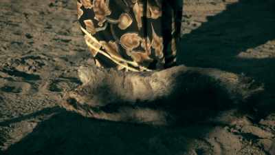 BUT OTHER REPORTS
SAY IT BITES OFF - Expedition Mungo