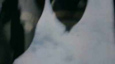 But has our thirst for war
taken us to the breaking point? - Origins: The Journey of Humankind