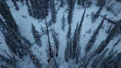 But out here, the consequences
are much greater, - Life Below Zero: Next Generation