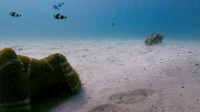 But out here, twice a day, - Blue Planet II