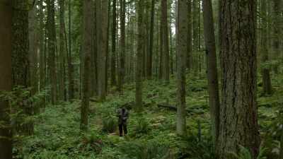But over longer distances,
they could communicate only - Cosmos: Possible Worlds