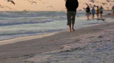 But Paul Dabill's
case causes a rethink - Shark Attack Files