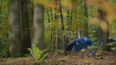 But her prey have still not noticed her. - Prehistoric Planet
