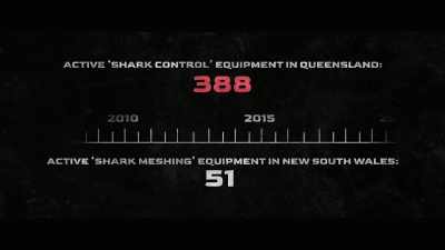 But Queensland continues
to push its luck - Envoy: Shark Cull