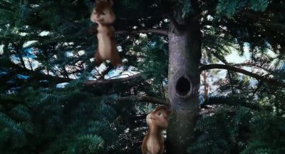 Whatever - Alvin and the Chipmunks