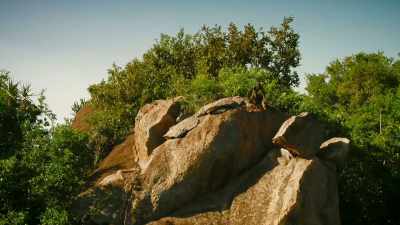 ..but, recently, - Serengeti