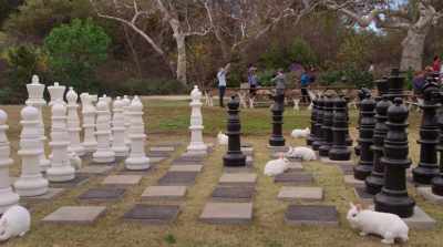 But remember, you are not competing
with each other, but yourselves. - Magic Camp