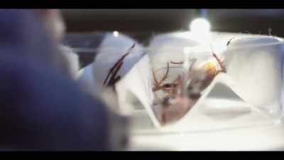 But as Rob and his lab continue his legacy. - The History of Home Narrated by Nick Offerman