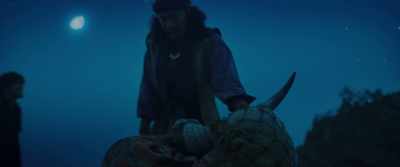 But - The Pirates: The Last Royal Treasure