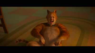 ♪ But... ♪ - Cats