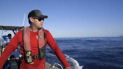"But scientist Shane Gero
is still concerned." - Secrets of the Whales