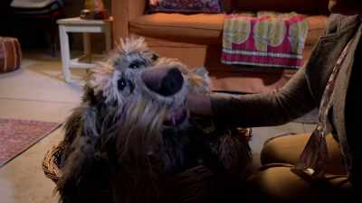 ...but setbacks are a huge part of science, - Fraggle Rock: Back to the Rock