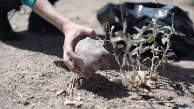 But when she looked
at it closer, - Buried In The Backyard