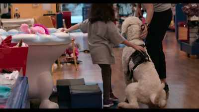 But if she's walking around with a dog, - Dogs