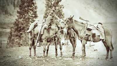 But they signed him on - Yellowstone: One-Fifty