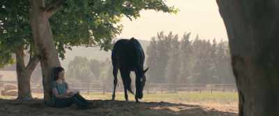 But since Jo couldn't gallop,
I had an idea. - Black Beauty